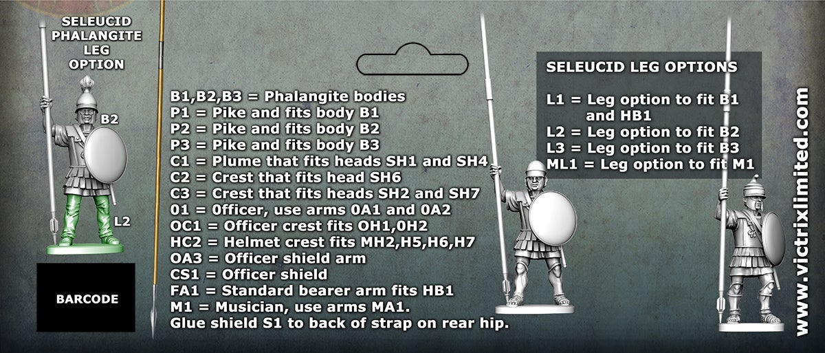 28mm Ancients - Successor Phalangites
