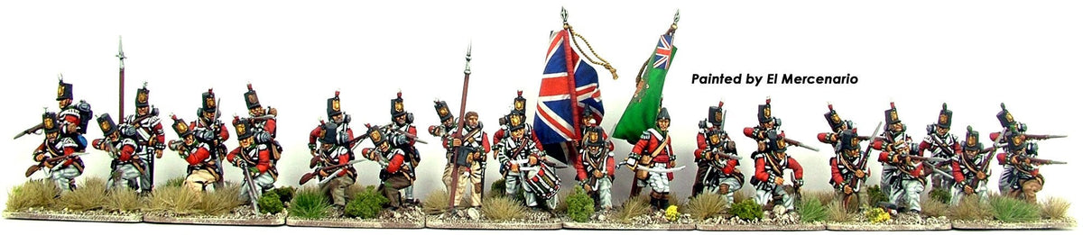 28mm Napoleonics - British Peninsular Infantry Centre Companies
