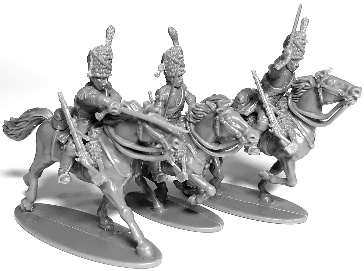 French Napoleonic Dragoons