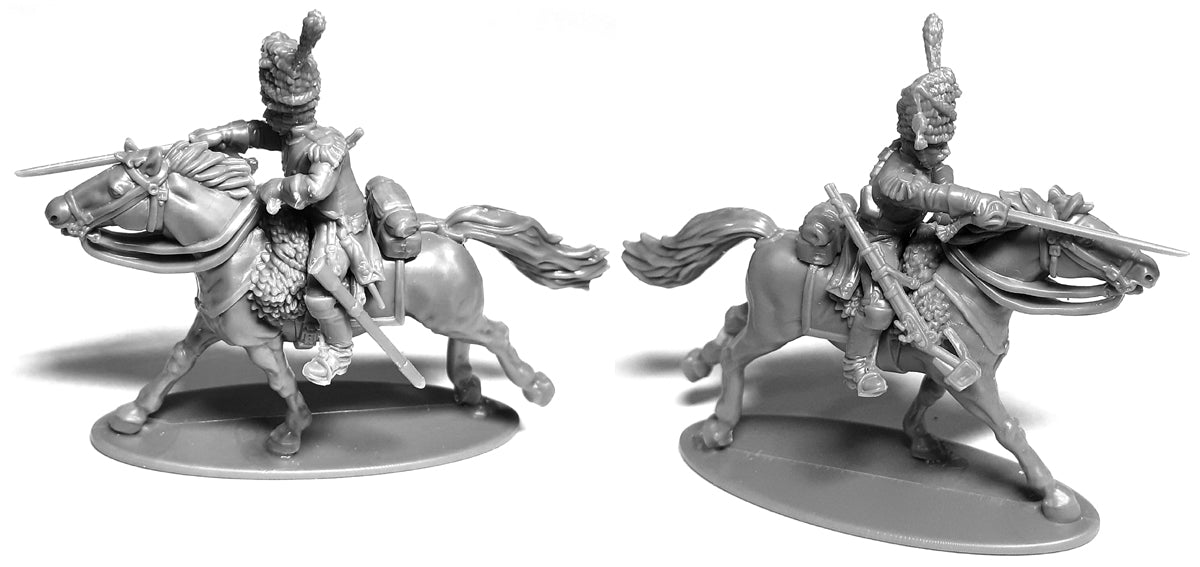 French Napoleonic Dragoons