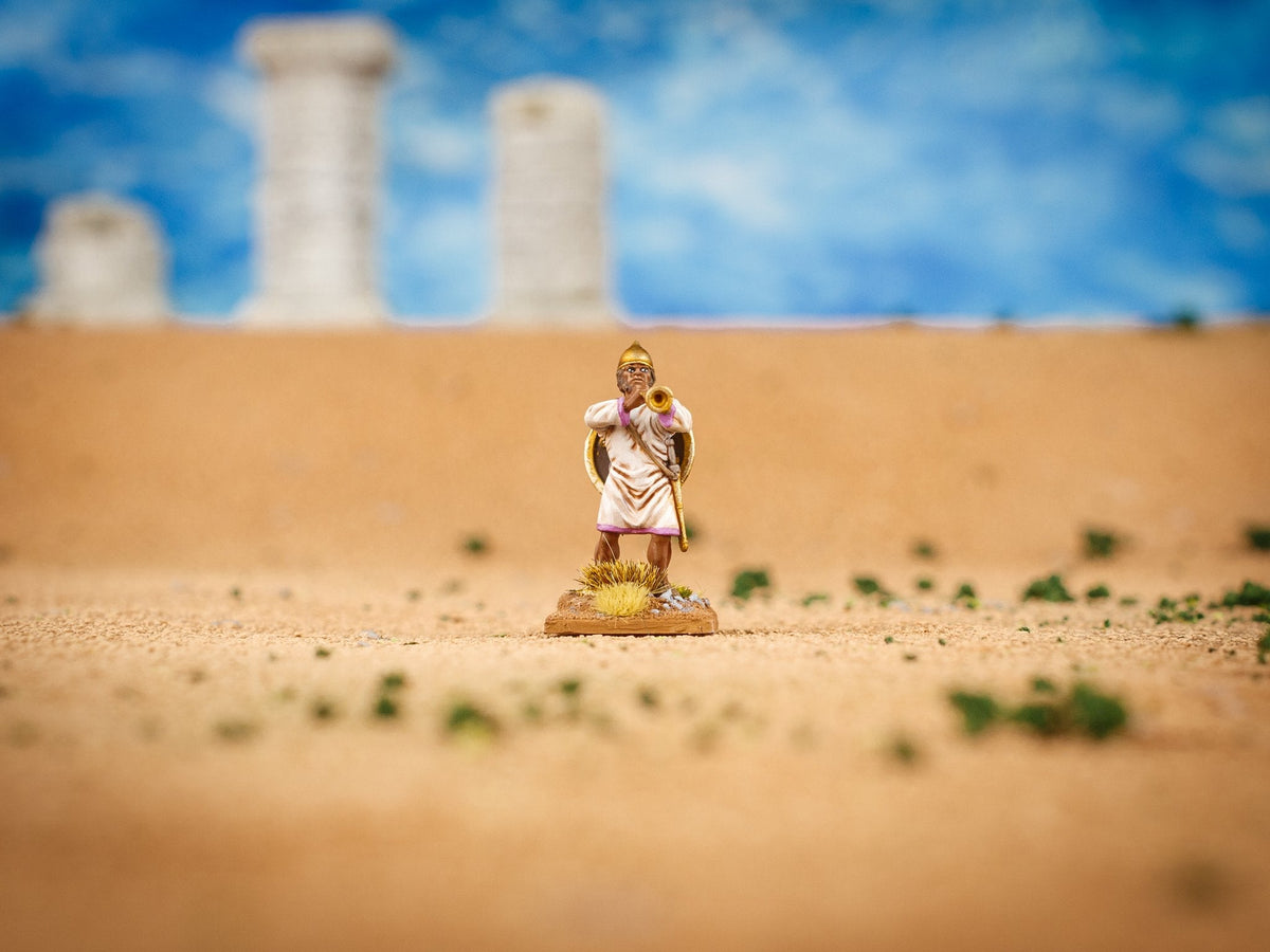 Clash Of Spears Carthaginian Boxed Set
